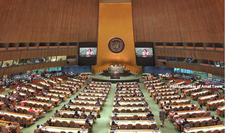 United Nations General Assembly / Photo Courtesy of Amali Tower
